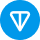 TON logo